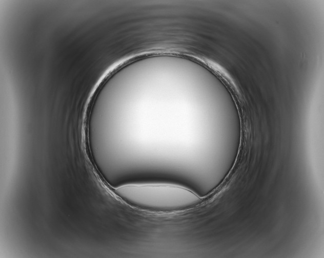 X0000087601288200704271036
