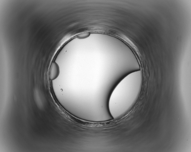 X0000087601291200704271036