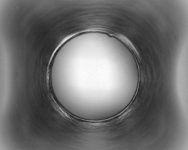 X0000087601292200704271036
