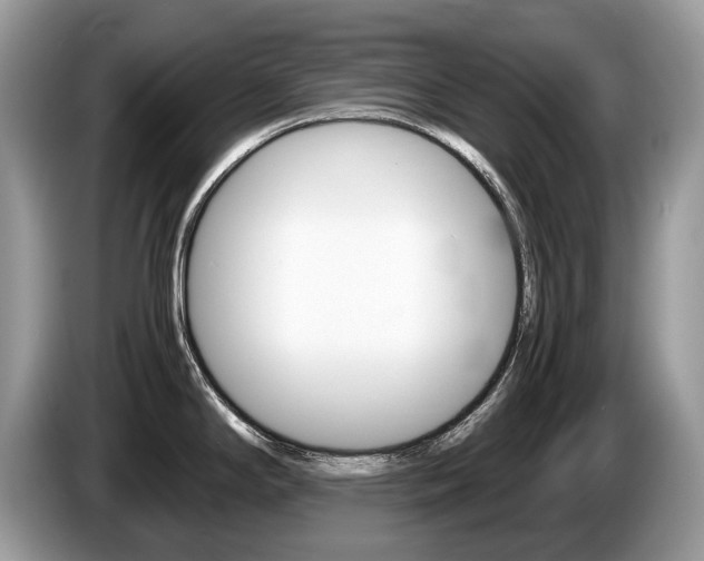 X0000087601294200704271036