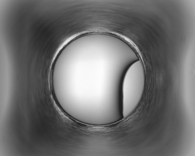 X0000087601295200704271036