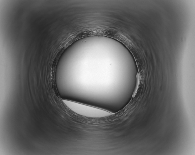 X0000087601298200704271036