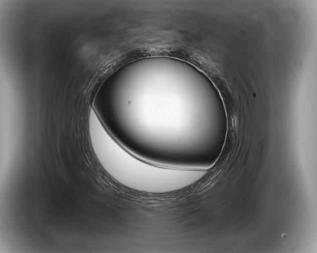 X0000087601300200704271036