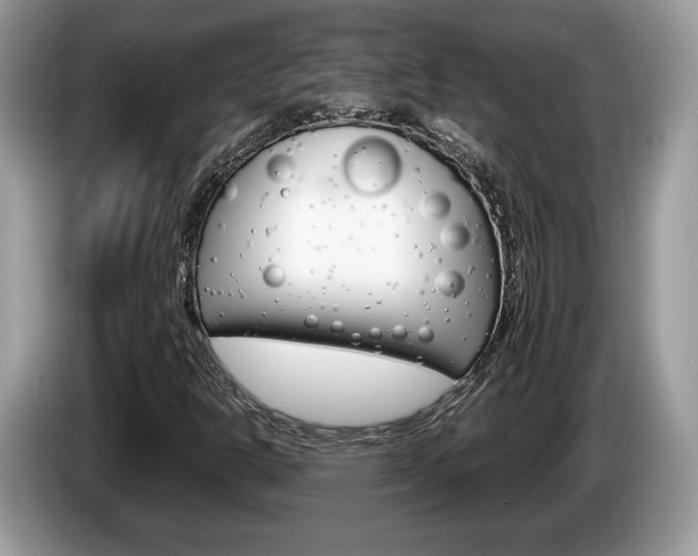 X0000087601302200704271036