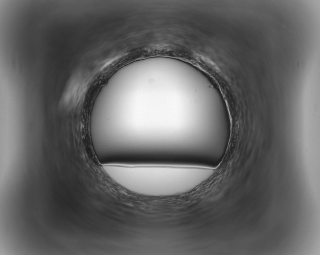 X0000087601303200704271036