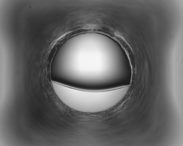 X0000087601304200704271036