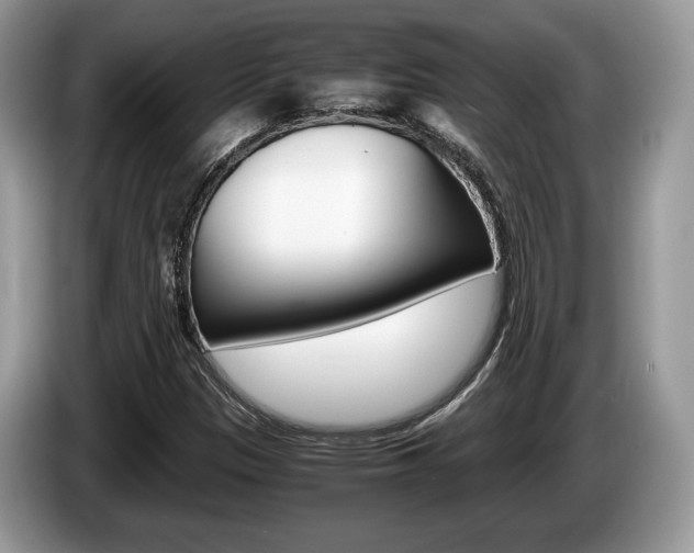 X0000087601305200704271036
