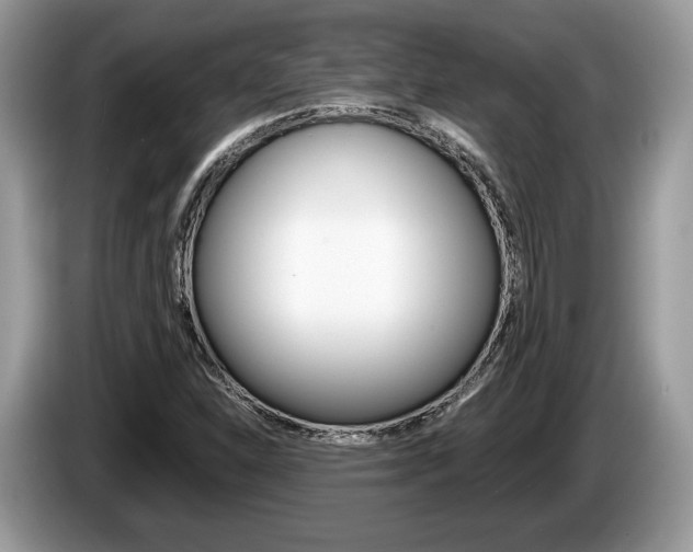 X0000087601310200704271036