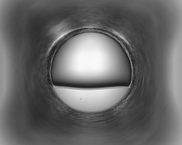 X0000087601311200704271036