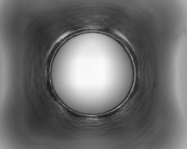 X0000087601315200704271036