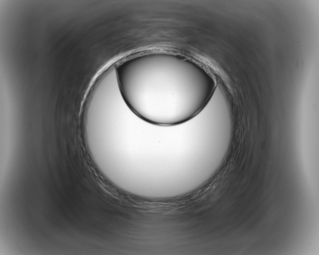 X0000087601316200704271036