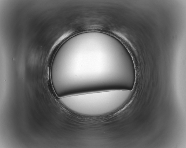 X0000087601317200704271036