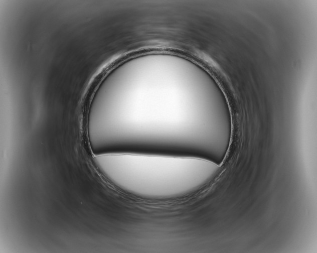 X0000087601318200704271036