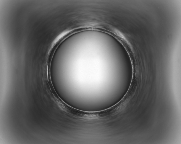 X0000087601320200704271036
