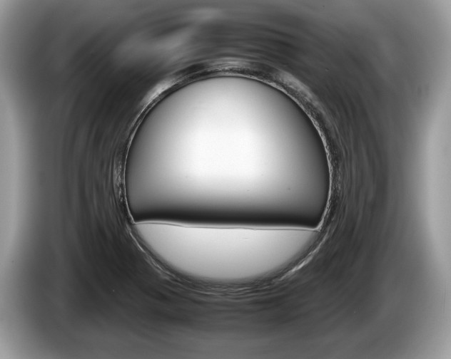 X0000087601321200704271036
