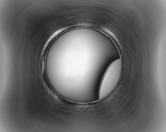 X0000087601323200704271036