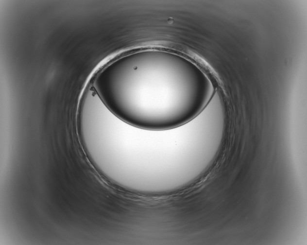 X0000087601324200704271036