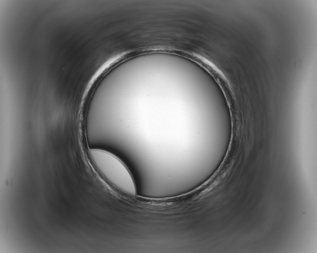 X0000087601325200704271036