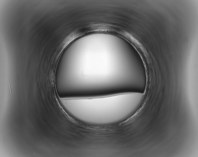 X0000087601329200704271036
