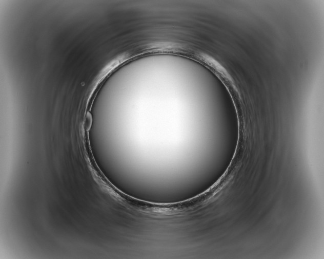 X0000087601330200704271036