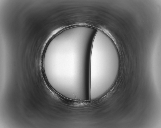 X0000087601331200704271036