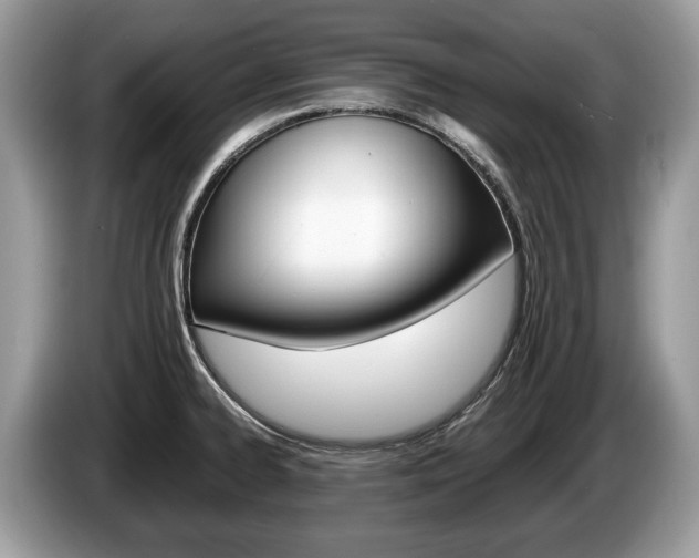 X0000087601334200704271036