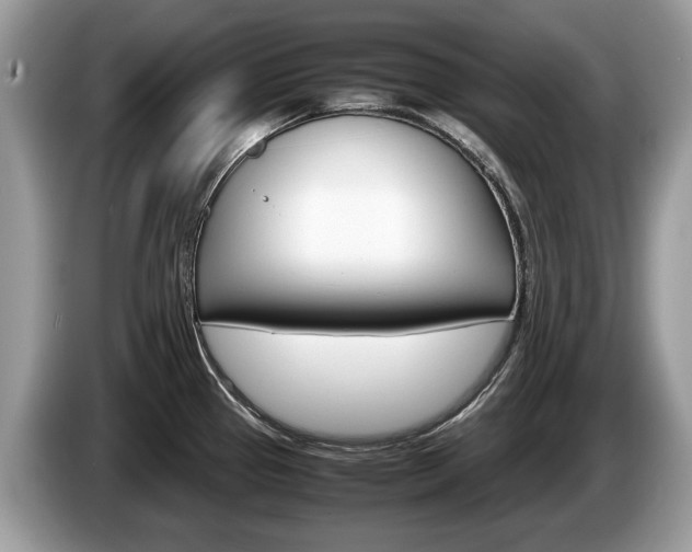 X0000087601337200704271036