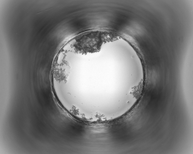X0000087601338200704271036