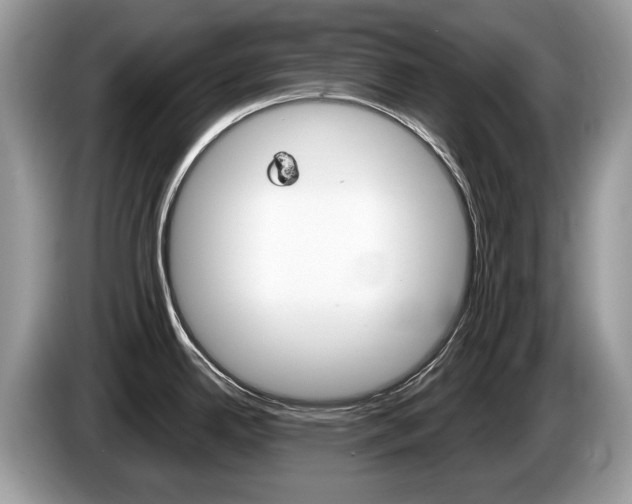 X0000087601342200704271036