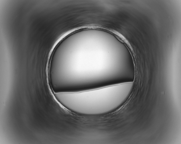 X0000087601343200704271036