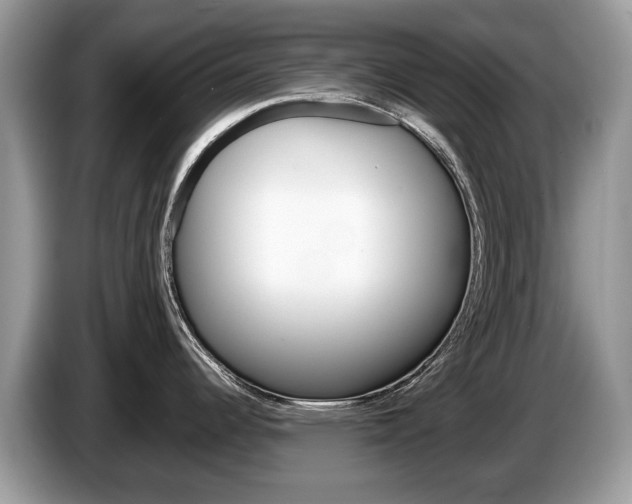 X0000087601344200704271036
