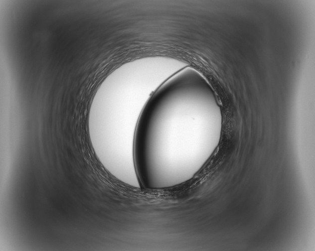 X0000087601345200704271036