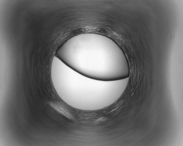 X0000087601346200704271036