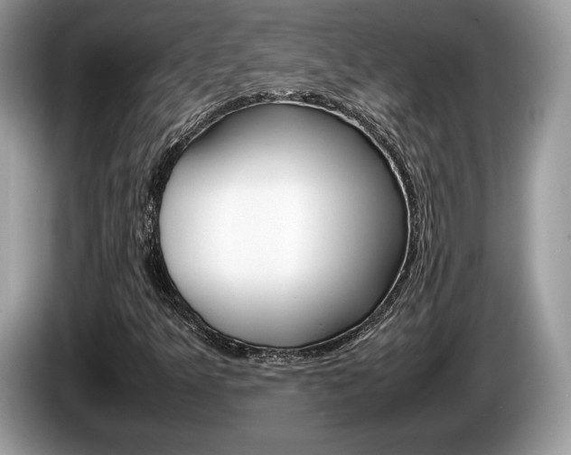 X0000087601349200704271036