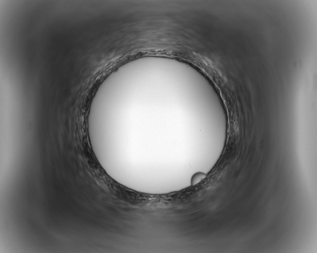 X0000087601350200704271036