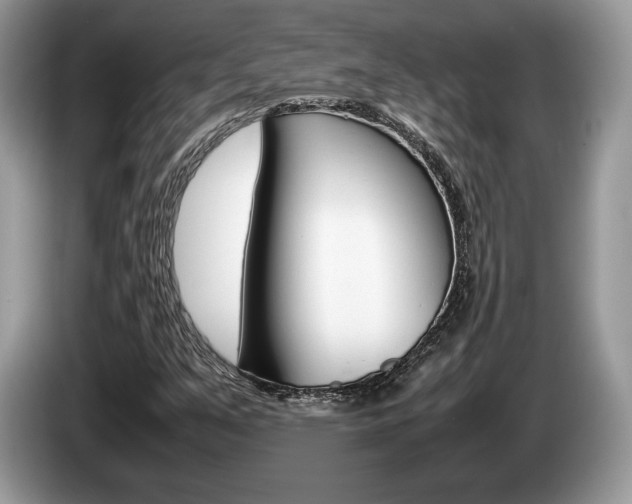 X0000087601351200704271036