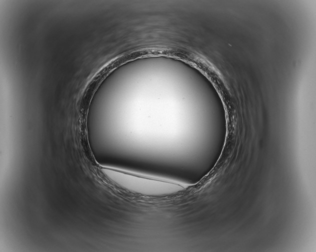 X0000087601352200704271036
