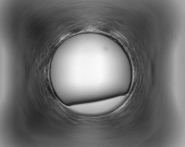 X0000087601353200704271036