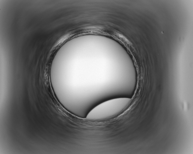 X0000087601354200704271036
