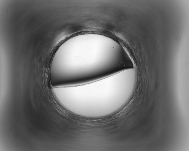 X0000087601355200704271036
