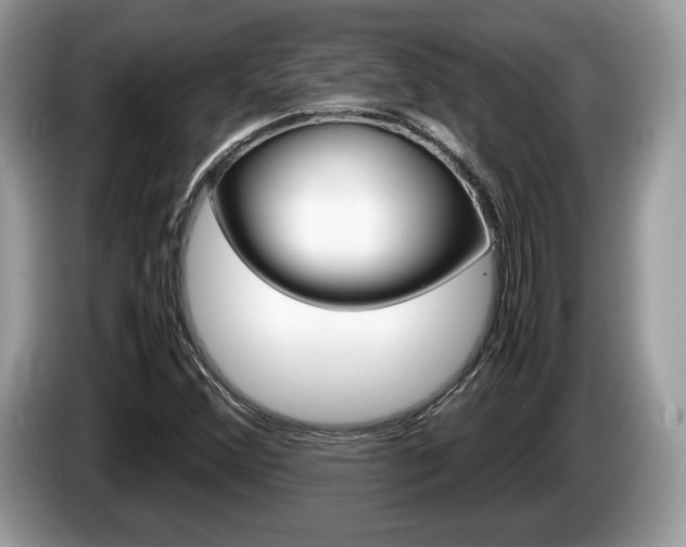 X0000087601356200704271036