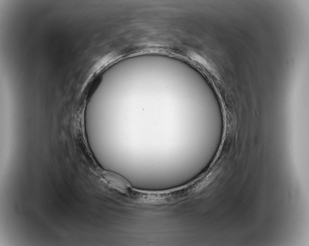 X0000087601357200704271036
