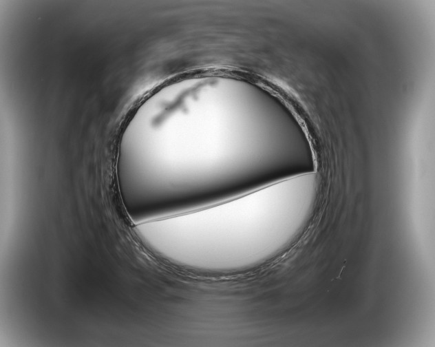 X0000087601359200704271036