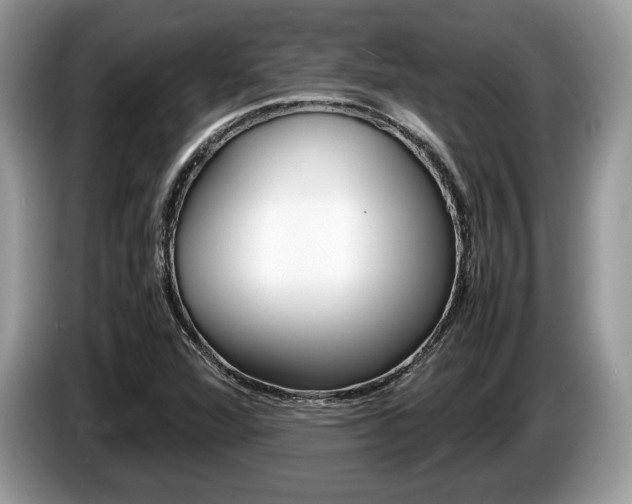 X0000087601360200704271036