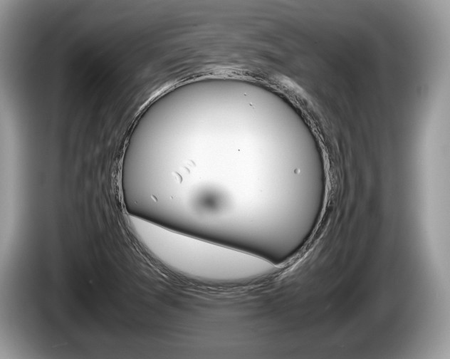 X0000087601361200704271036