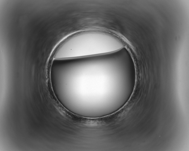 X0000087601364200704271036