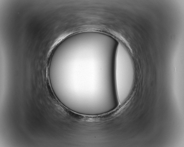 X0000087601365200704271035