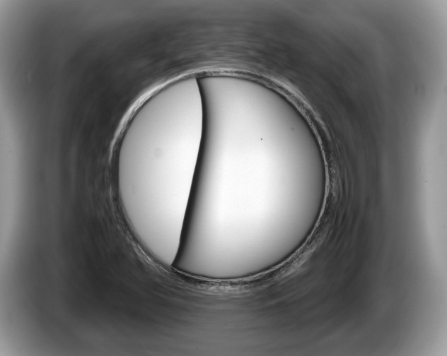 X0000087601366200704271035