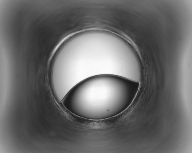 X0000087601368200704271035