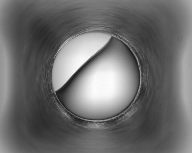 X0000087601369200704271035